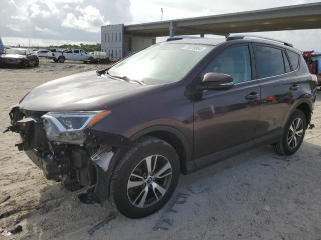 toyota rav4 xle 2016 2t3wfrev0gw278663