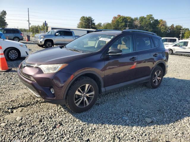 toyota rav4 xle 2017 2t3wfrev1hw353338