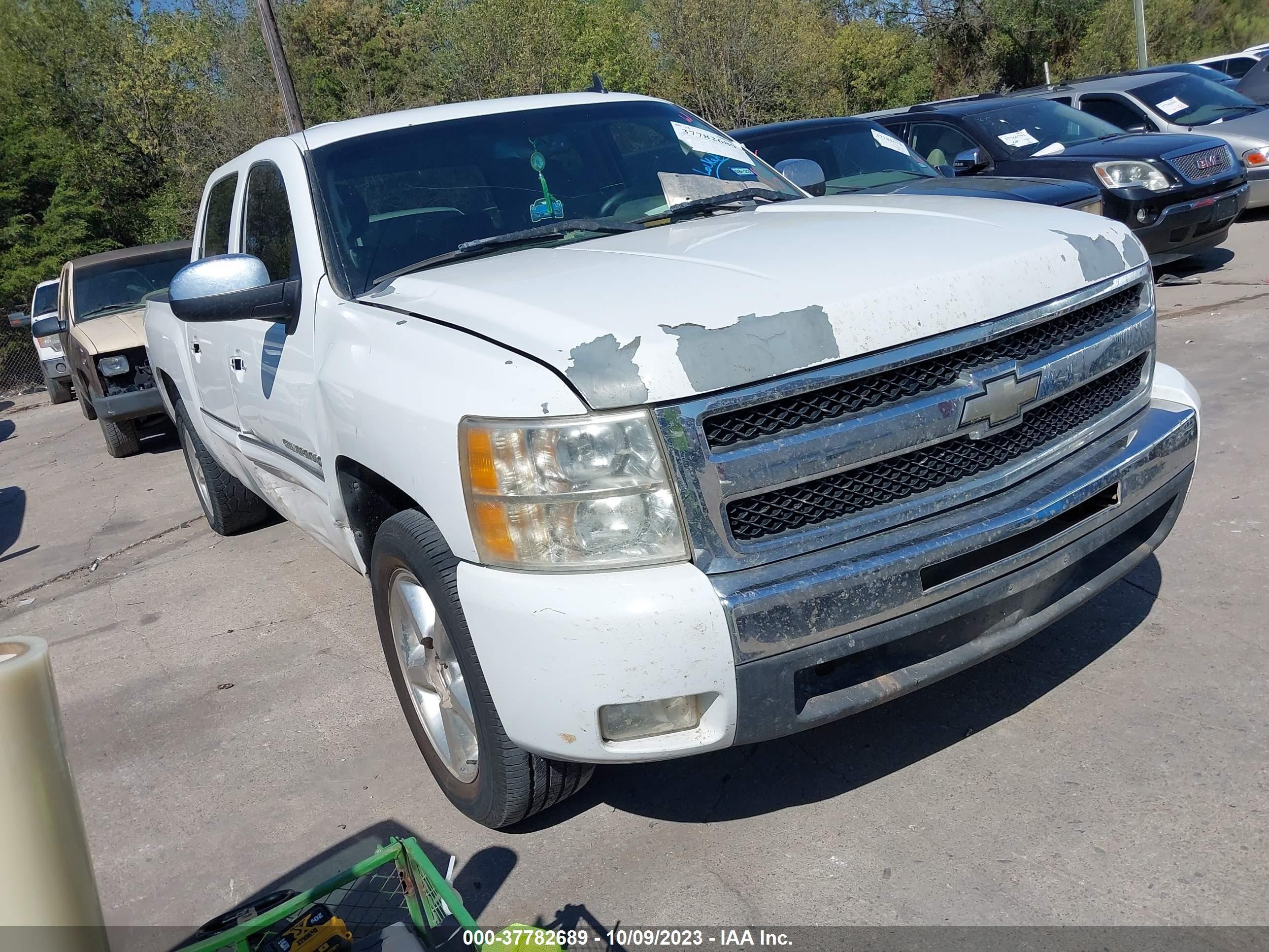 chevrolet silverado 2009 3gcec23039g266996