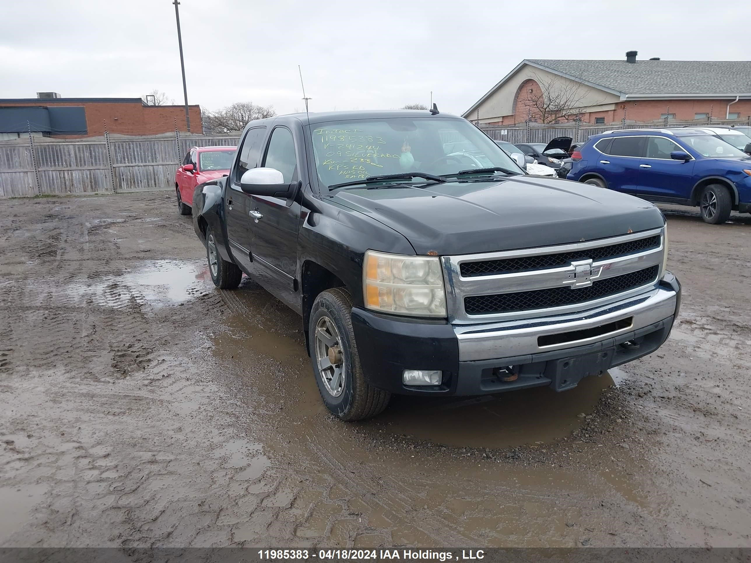 chevrolet silverado 2009 3gcek13389g241244