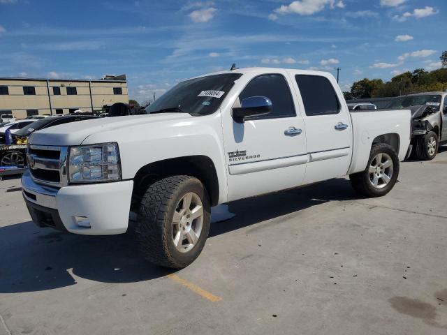 chevrolet silverado 2011 3gcpcse02bg202749