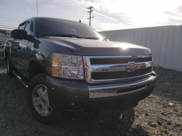 chevrolet silverado 2011 3gcpkse31bg230314