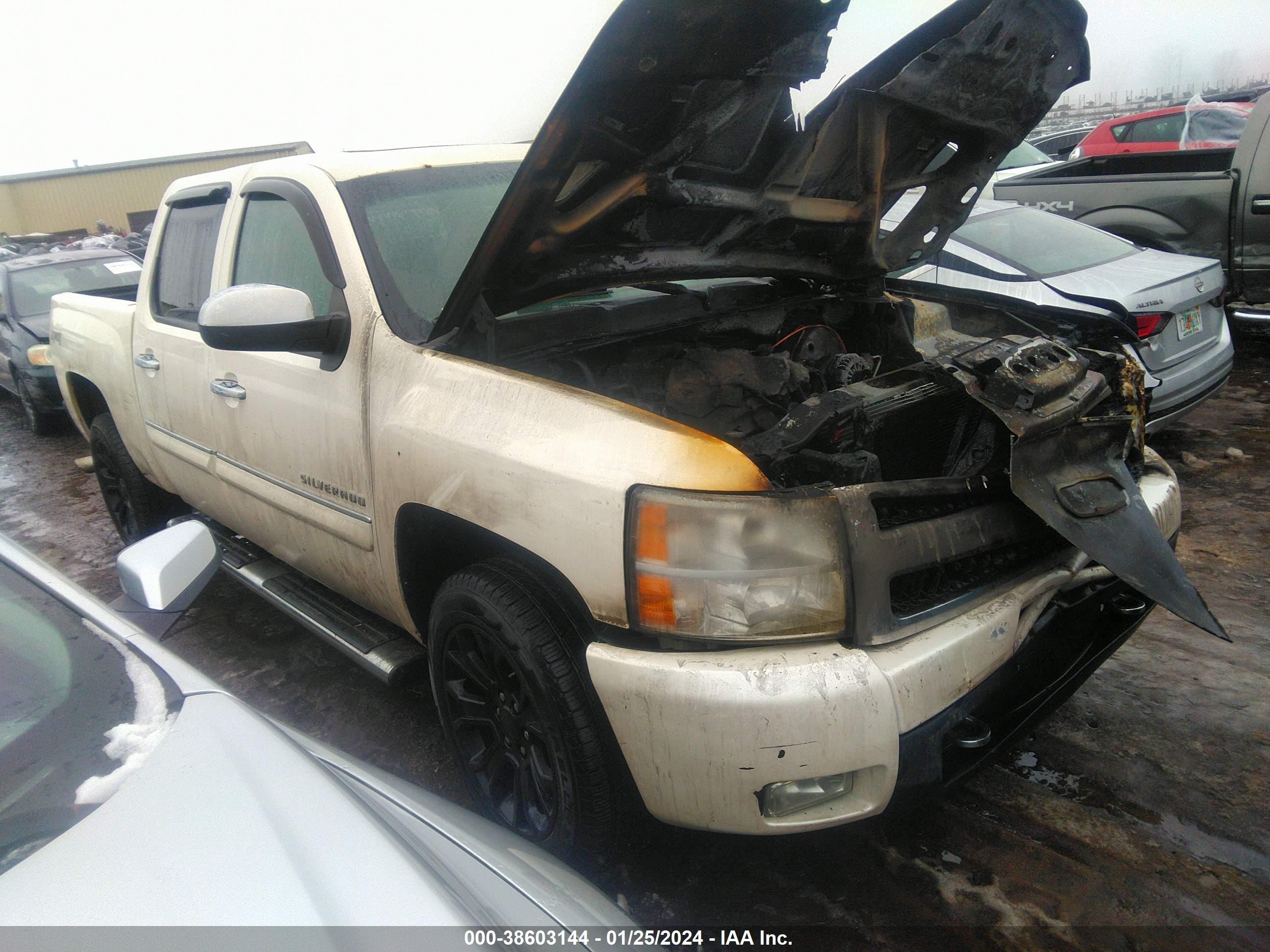 chevrolet silverado 2011 3gcpkte37bg155771