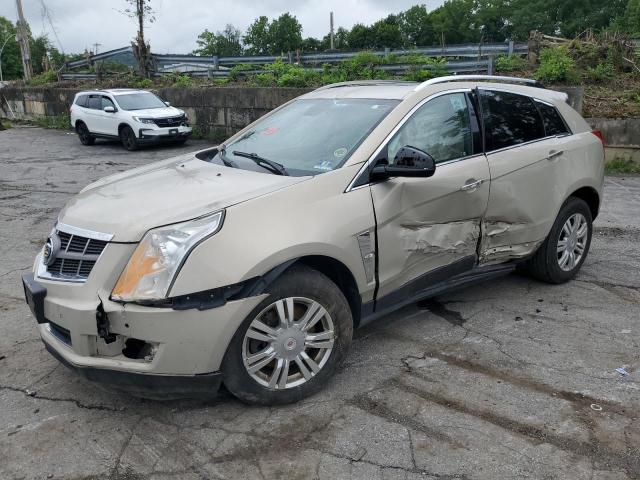 cadillac srx luxury 2012 3gyfnae31cs601140