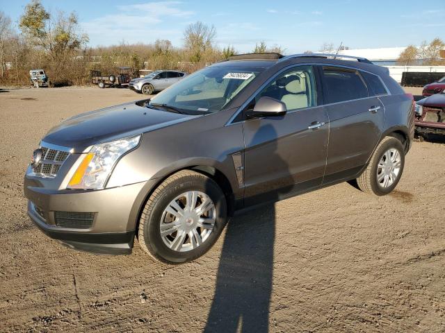 cadillac srx luxury 2012 3gyfnae33cs587113