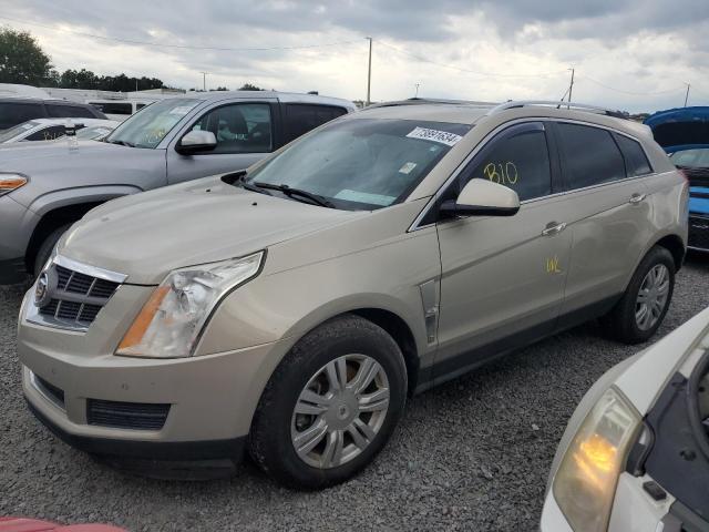 cadillac srx luxury 2012 3gyfnae35cs565971