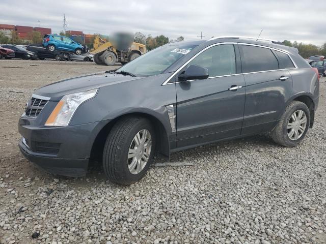 cadillac srx luxury 2012 3gyfnae39cs566413