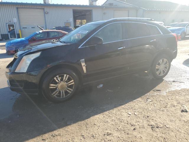 cadillac srx luxury 2012 3gyfnae3xcs544159