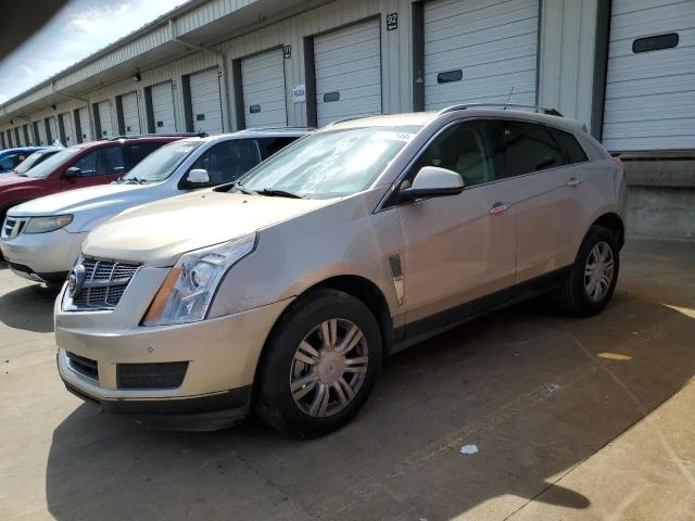 cadillac srx luxury 2010 3gyfnaey1as554796