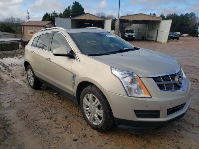 cadillac srx luxury 2011 3gyfnaey2bs566814