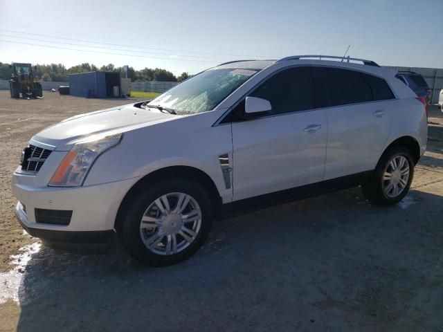 cadillac srx luxury 2010 3gyfnaey4as556588