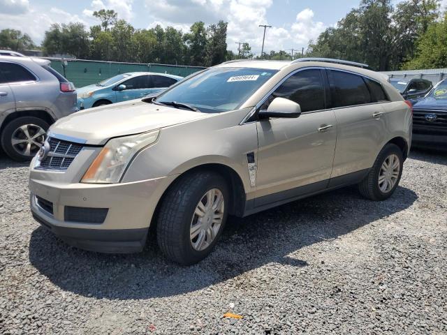 cadillac srx luxury 2011 3gyfnaey4bs646776