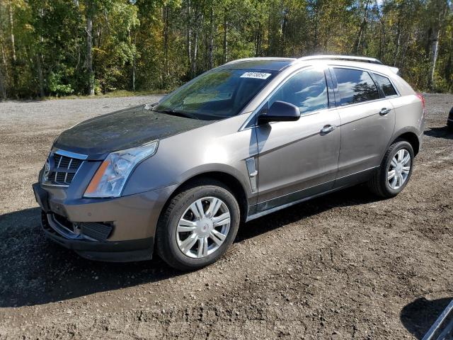 cadillac srx luxury 2011 3gyfnaey4bs666476