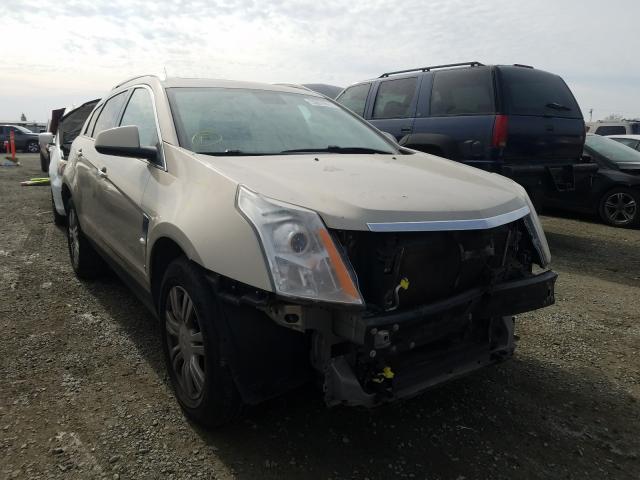 cadillac srx luxury 2010 3gyfnaey5as504421