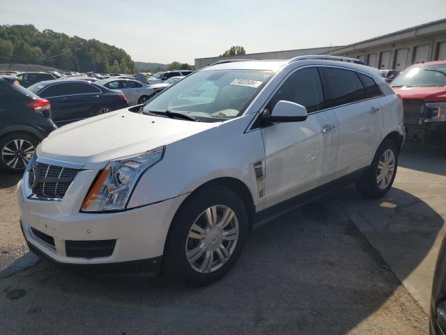 cadillac srx luxury 2011 3gyfnaey7bs532027