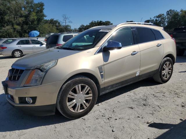 cadillac srx luxury 2011 3gyfnaey8bs594553