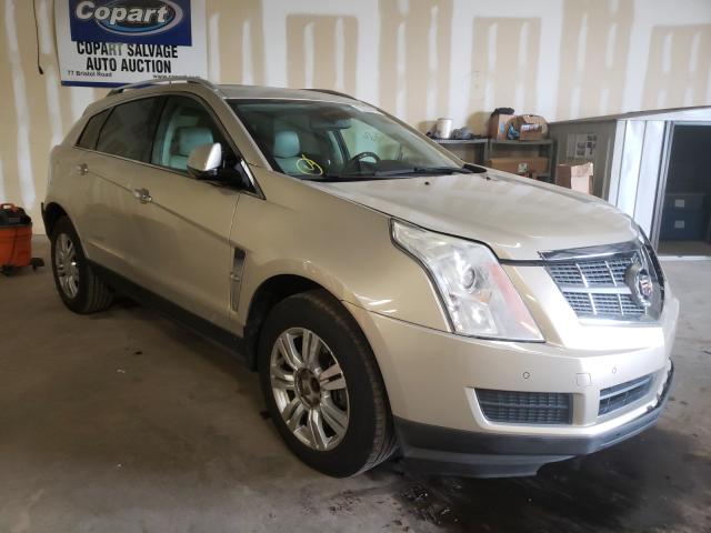 cadillac srx luxury 2011 3gyfnaey9bs609027