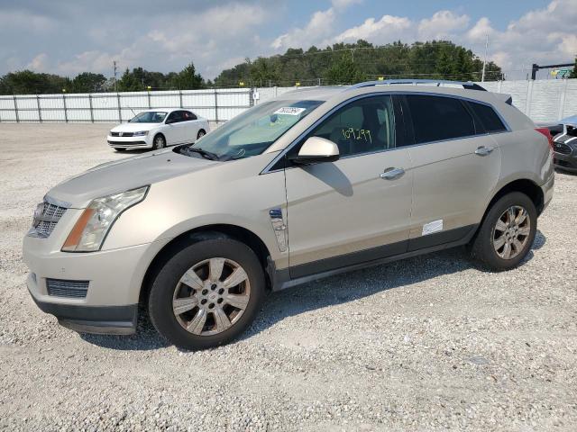 cadillac srx luxury 2010 3gyfnaeyxas513292