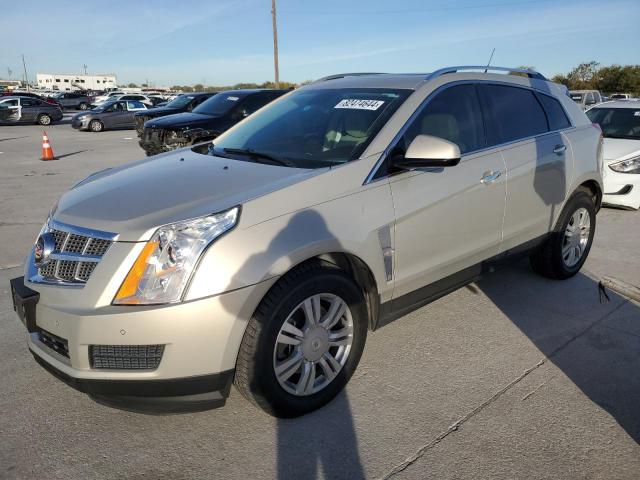 cadillac srx luxury 2010 3gyfnaeyxas578370