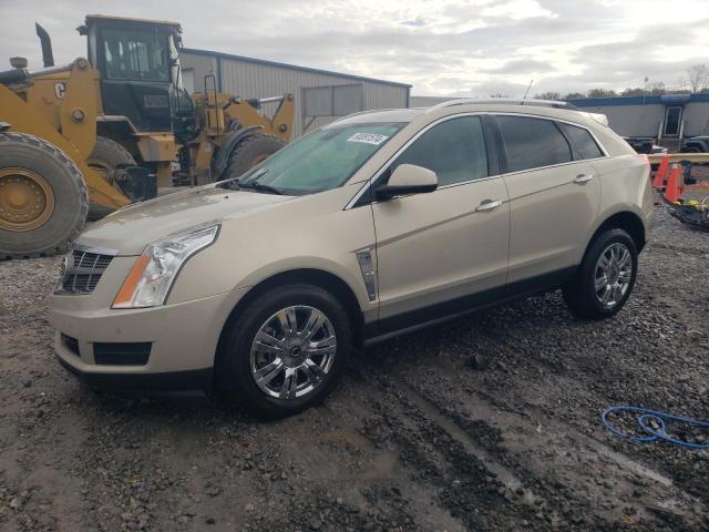 cadillac srx luxury 2010 3gyfnaeyxas585478