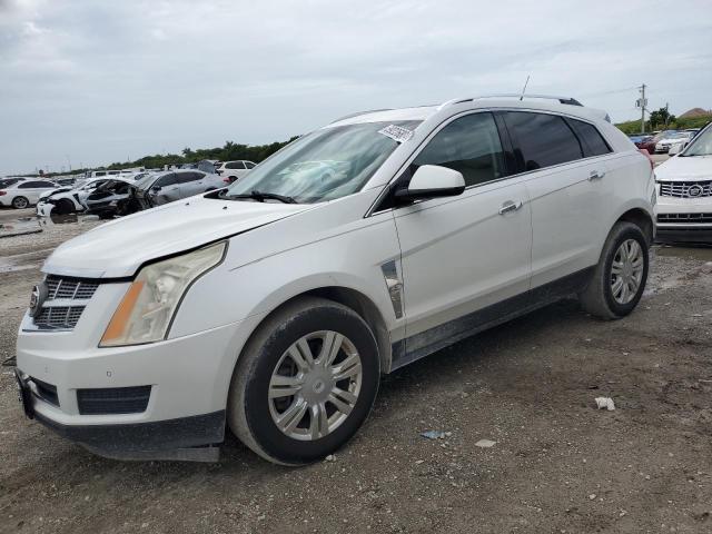 cadillac srx luxury 2010 3gyfnaeyxas623405