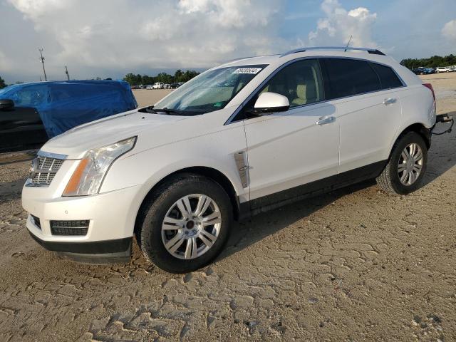 cadillac srx luxury 2011 3gyfnaeyxbs551932