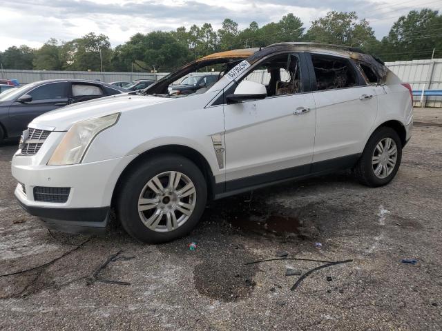 cadillac srx luxury 2011 3gyfnaeyxbs553762