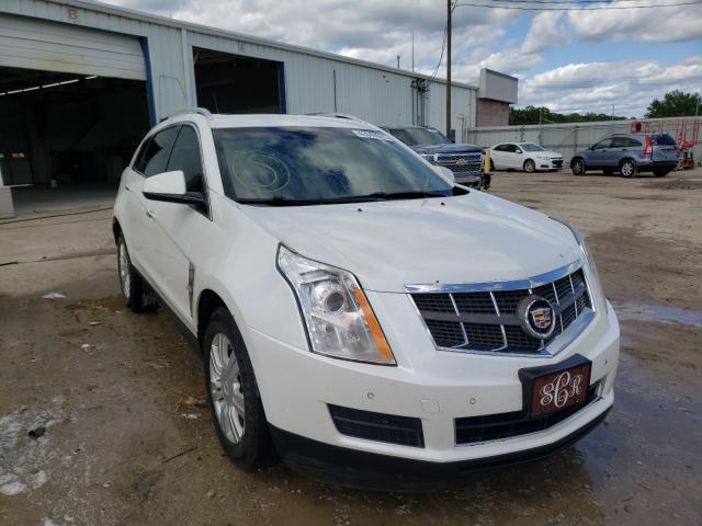 cadillac srx luxury 2011 3gyfnaeyxbs601714