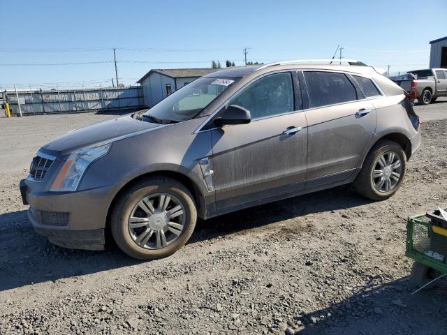 cadillac srx luxury 2011 3gyfnaeyxbs632493