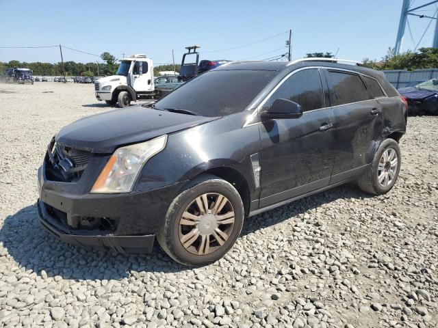 cadillac srx luxury 2011 3gyfnaeyxbs633692