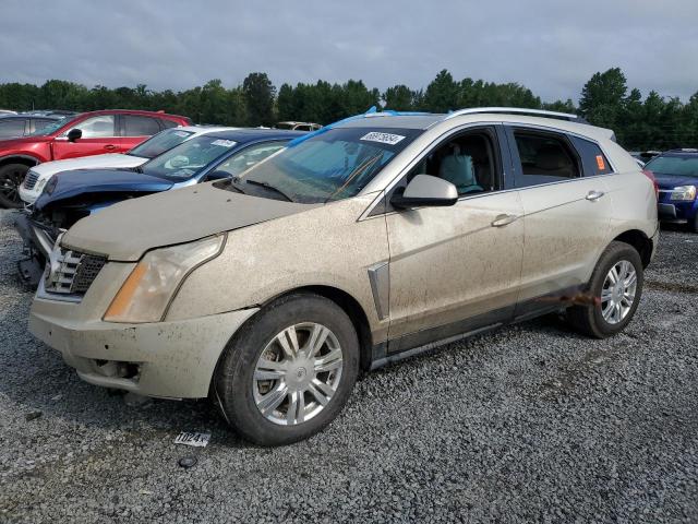 cadillac srx luxury 2014 3gyfnbe31es656213