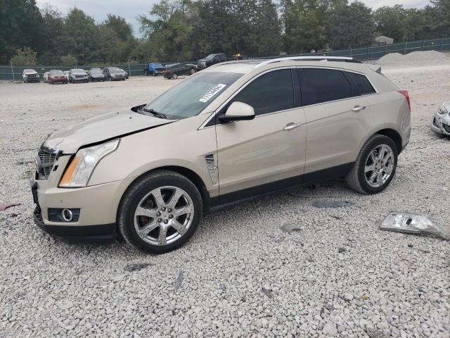 cadillac srx perfor 2011 3gyfnbey6bs661401