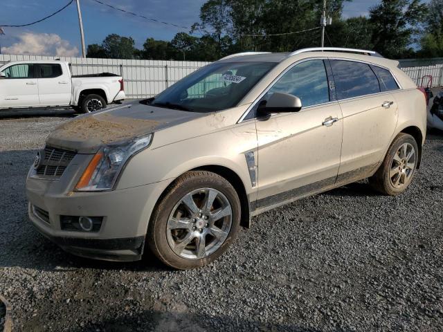 cadillac srx perfor 2010 3gyfnbey8as609962