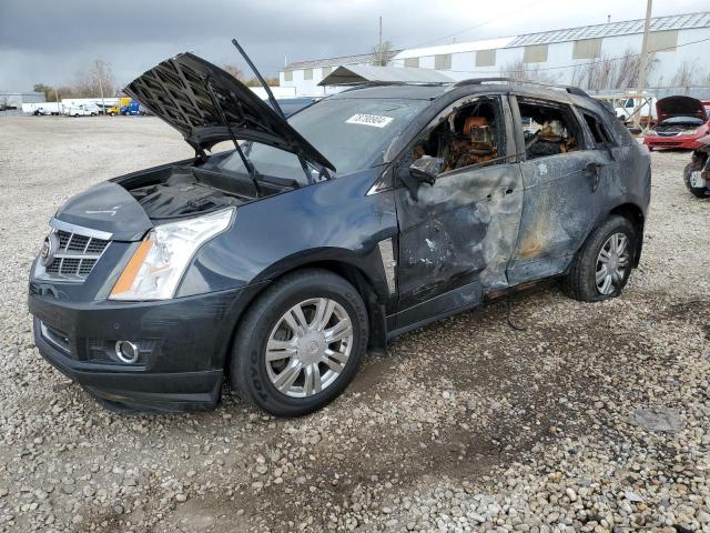 cadillac srx luxury 2012 3gyfnde34cs526404