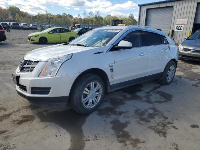 cadillac srx luxury 2012 3gyfnde35cs548735