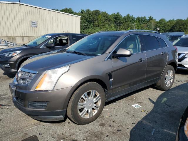 cadillac srx luxury 2012 3gyfnde3xcs547855