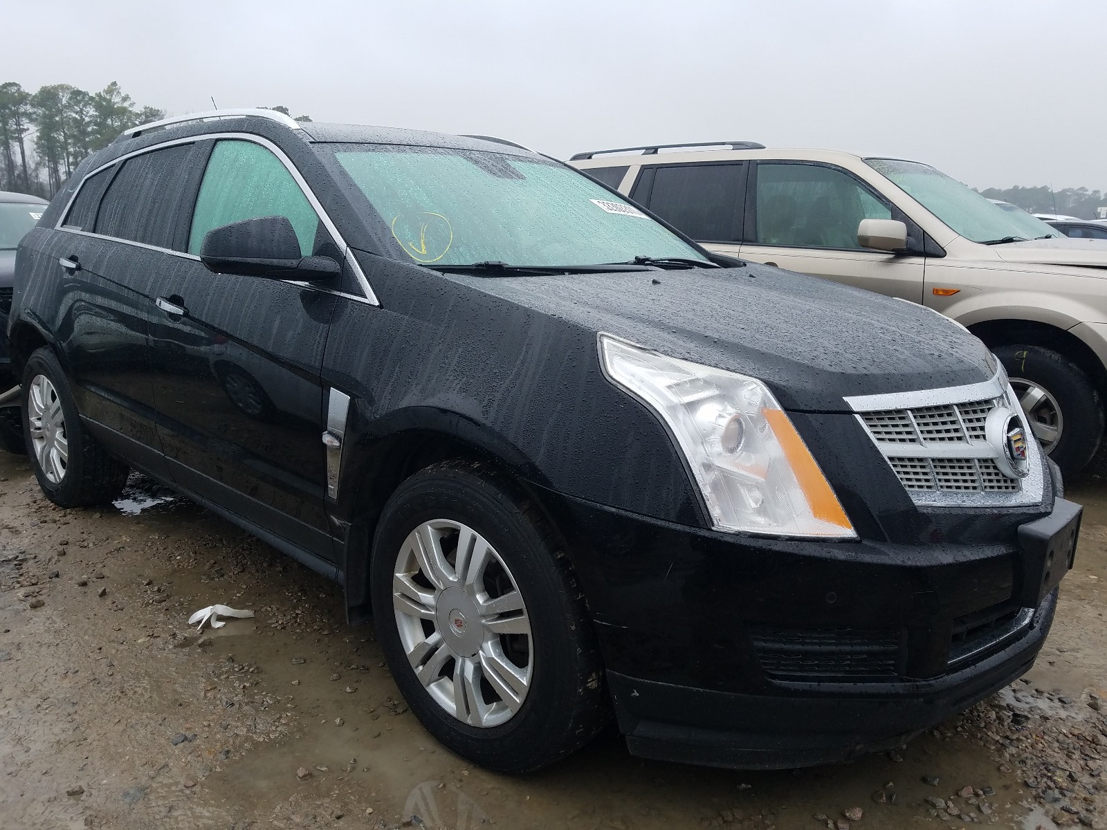 cadillac srx luxury 2012 3gyfnde3xcs567717