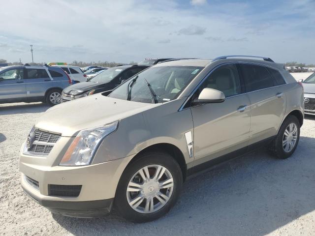 cadillac srx luxury 2010 3gyfndey2as540276