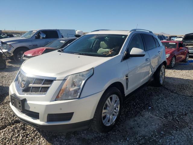 cadillac srx luxury 2011 3gyfndey2bs621845