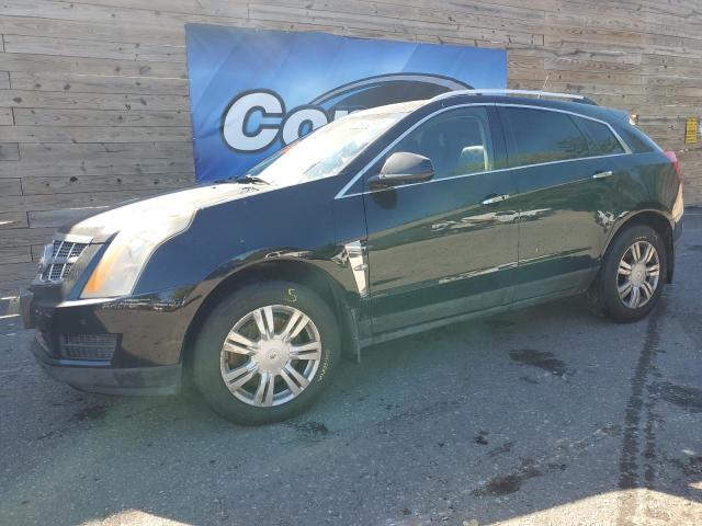 cadillac srx luxury 2011 3gyfndey3bs646057