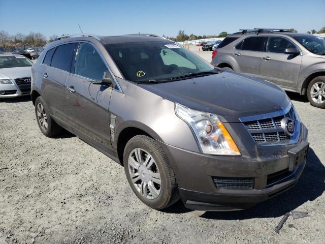 cadillac srx luxury 2011 3gyfndey4bs564693