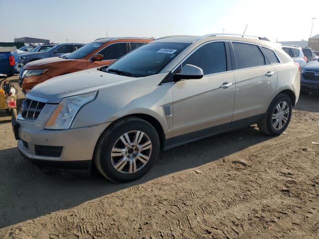 cadillac srx luxury 2011 3gyfndey4bs609101