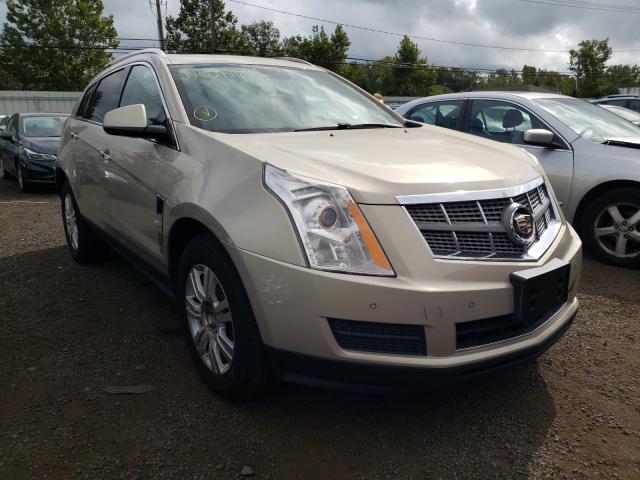 cadillac srx luxury 2010 3gyfndey7as640938