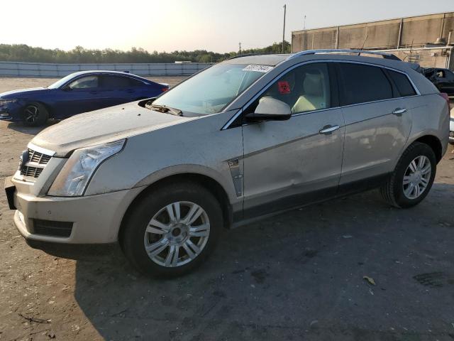 cadillac srx luxury 2010 3gyfndeyxas582128