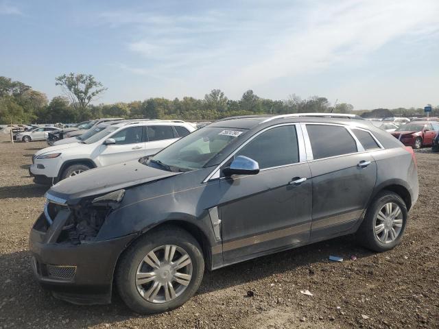 cadillac srx luxury 2010 3gyfndeyxas614561