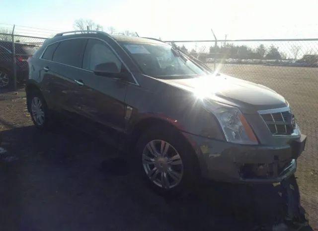 cadillac srx luxury 2011 3gyfndeyxbs584818