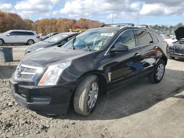 cadillac srx luxury 2011 3gyfndeyxbs601875