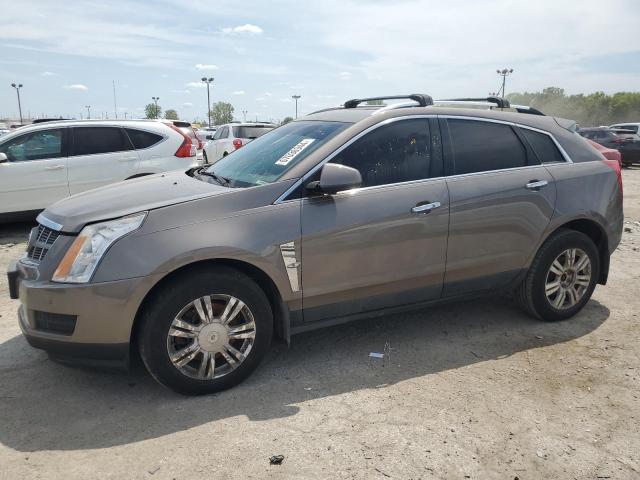 cadillac srx luxury 2011 3gyfndeyxbs662837