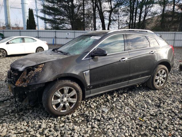 cadillac srx luxury 2016 3gyfnee33gs548549