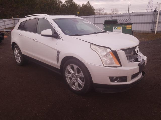 cadillac srx perfor 2010 3gyfneey5as658280